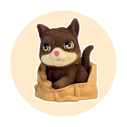 Kitty pocket smokey the - in, pocket:
